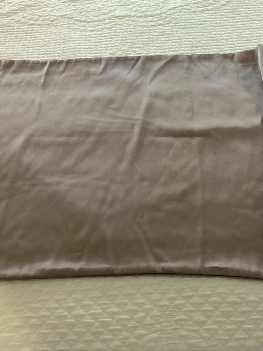 100% Silk Taupe Standard Pillowcase